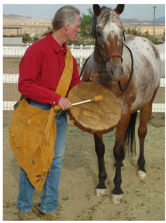 Horses on White Horse Rescue Ranch Love Drums